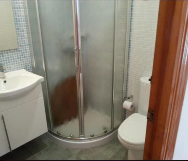 Apartamento En La Playa De San Jose-Sjjc Værelse billede